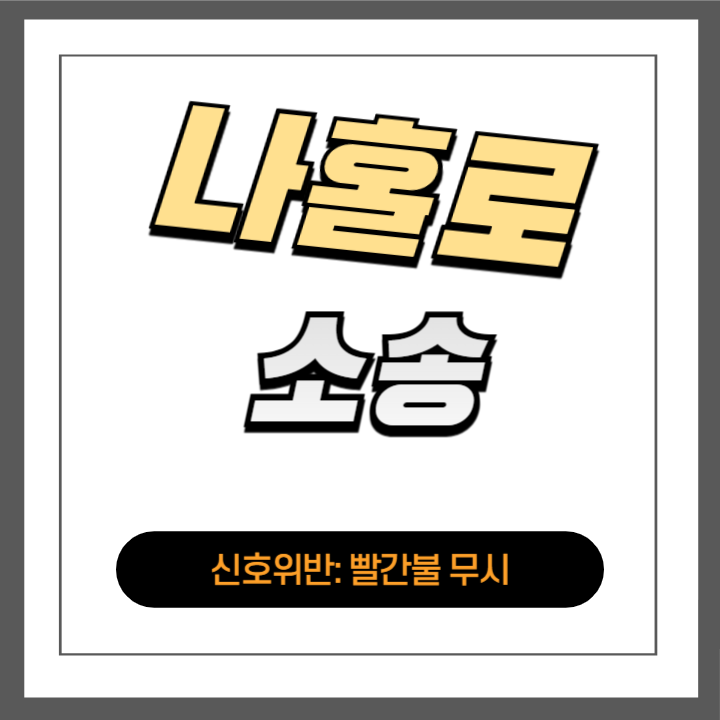 12대 중과실 신호위반: 빨간불 무시, 죽음의 질주로 감옥행?