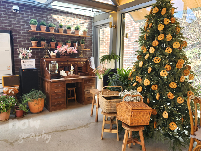 충남-당진-피어라-카페