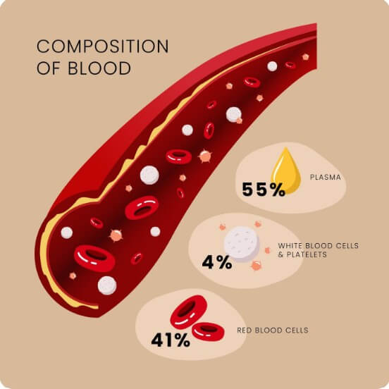 혈관에 있는 노폐물이 흘러가는 모습