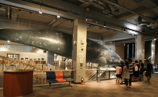 어린이날 가볼만한곳