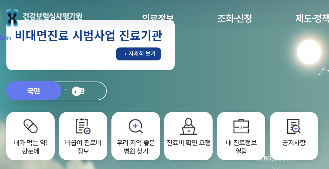 비급여 진료비 확인 절차