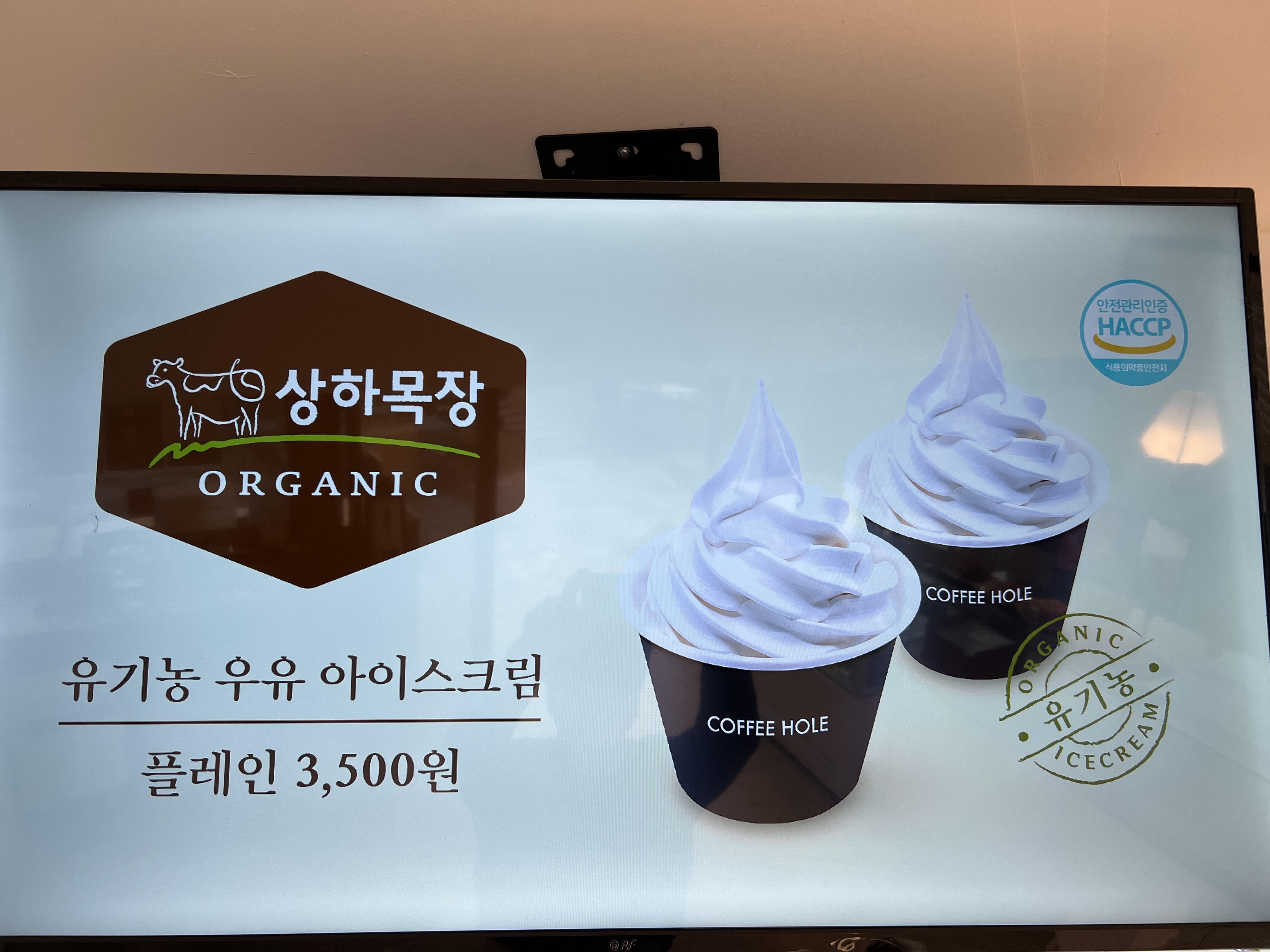 경북 안동 핫플 신상 베이커리카페 소개팅 데이트 모임