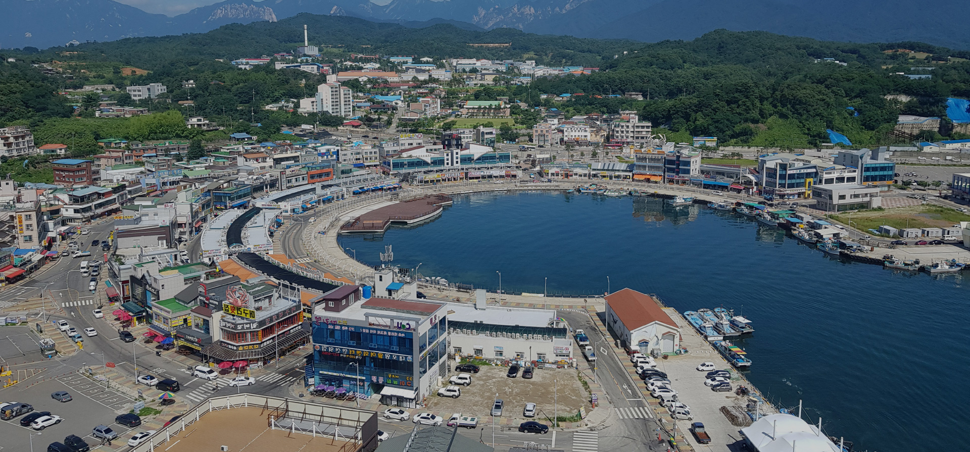 대포항
