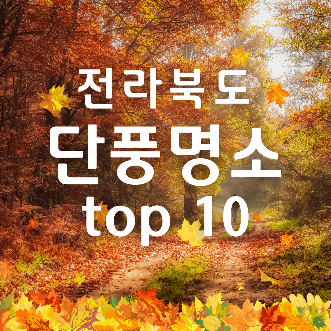 전라북도 단풍놀이 명소 추천