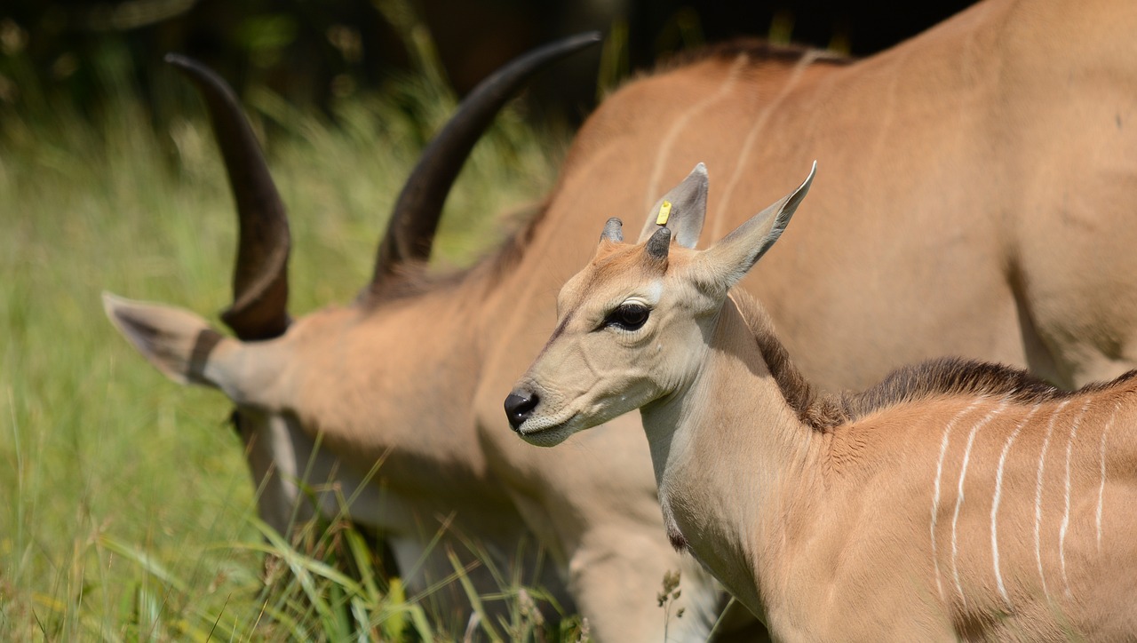 실업급여모의계산