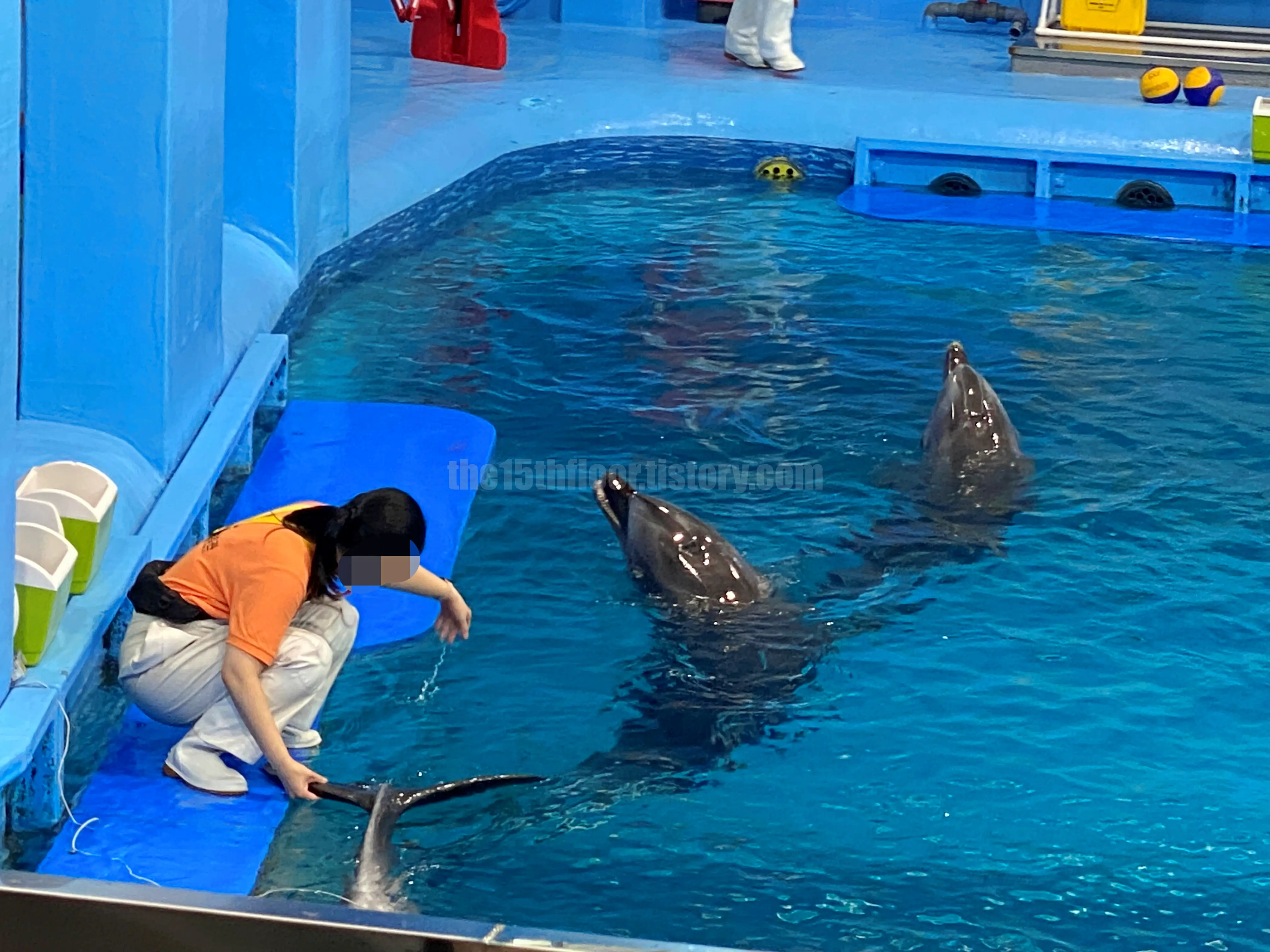 장생포 고래생태체험관 (내부 모습)
