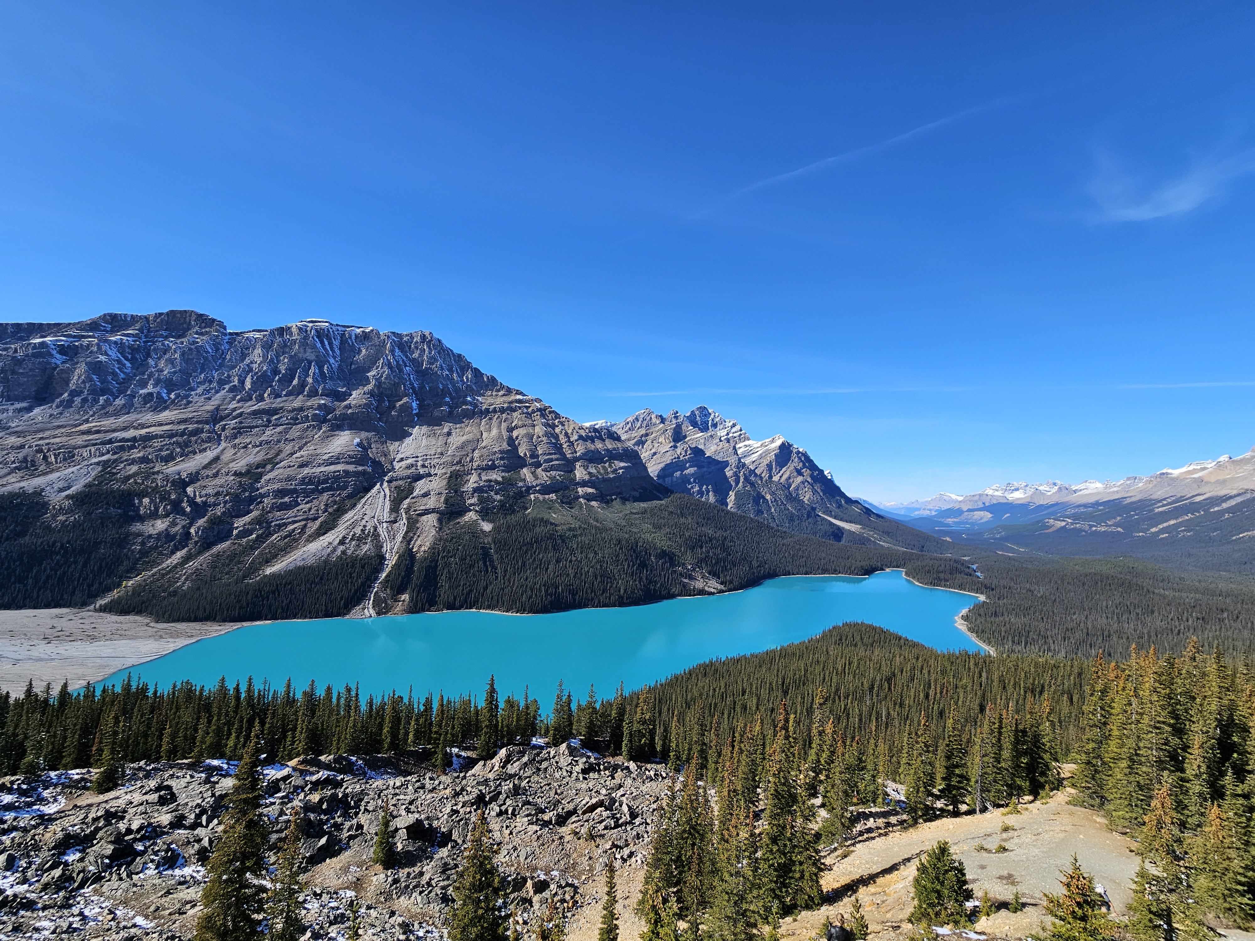 산과, 나무아, 빙하가 녹은 물의 환상의 조합.