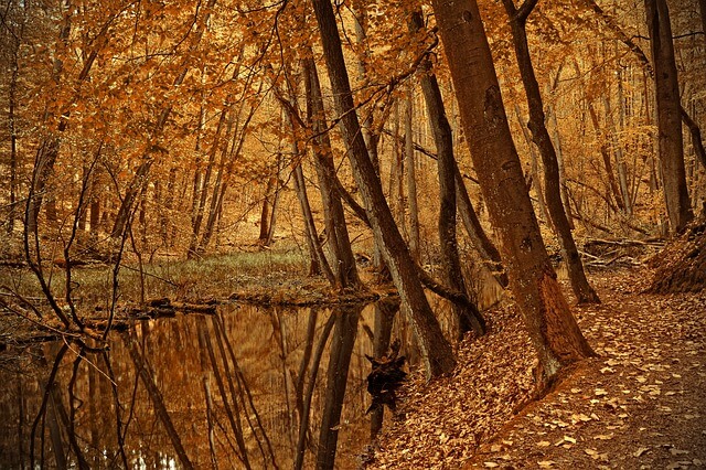 설악산 단풍 시기와 추천 코스