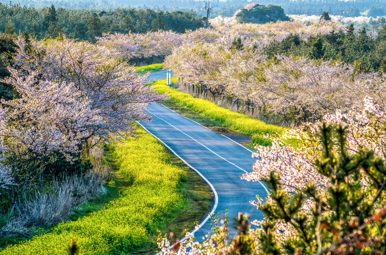 제주 가볼만한곳 베스트 10