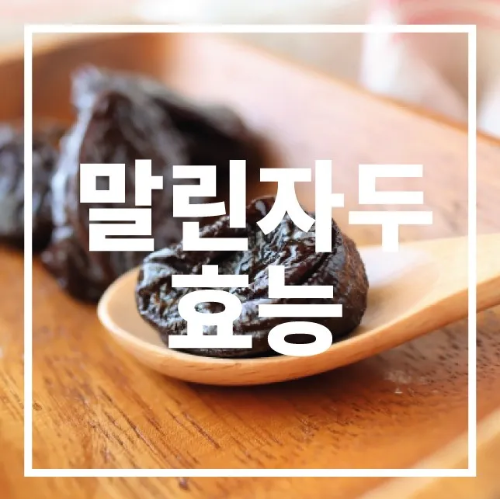 말린자두 효능