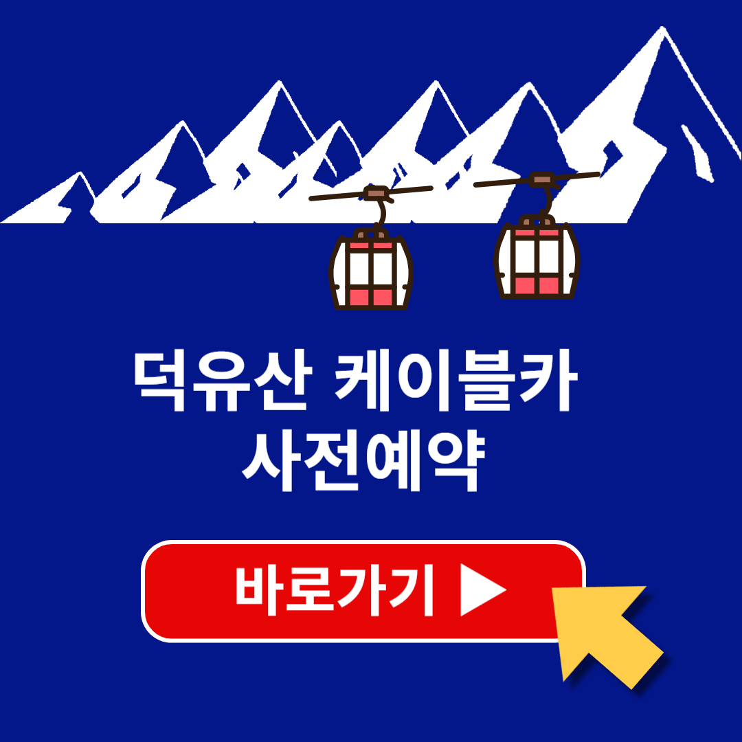 덕유산 케이블카 실시간 CCTV 요금 운행시간 조회하기