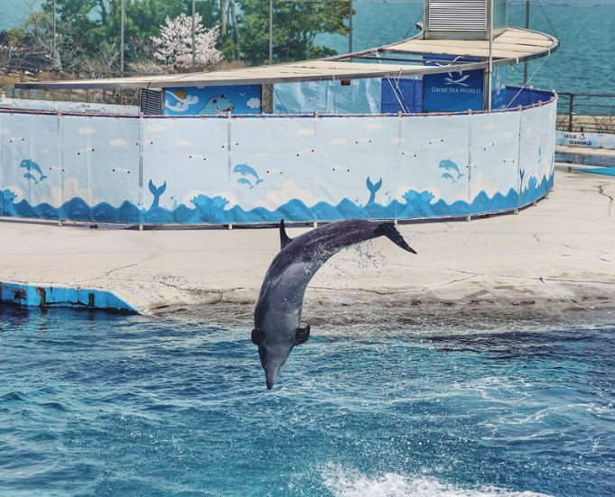 거제 가볼만한 곳 씨월드1