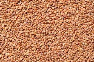 당뇨에-좋은-차