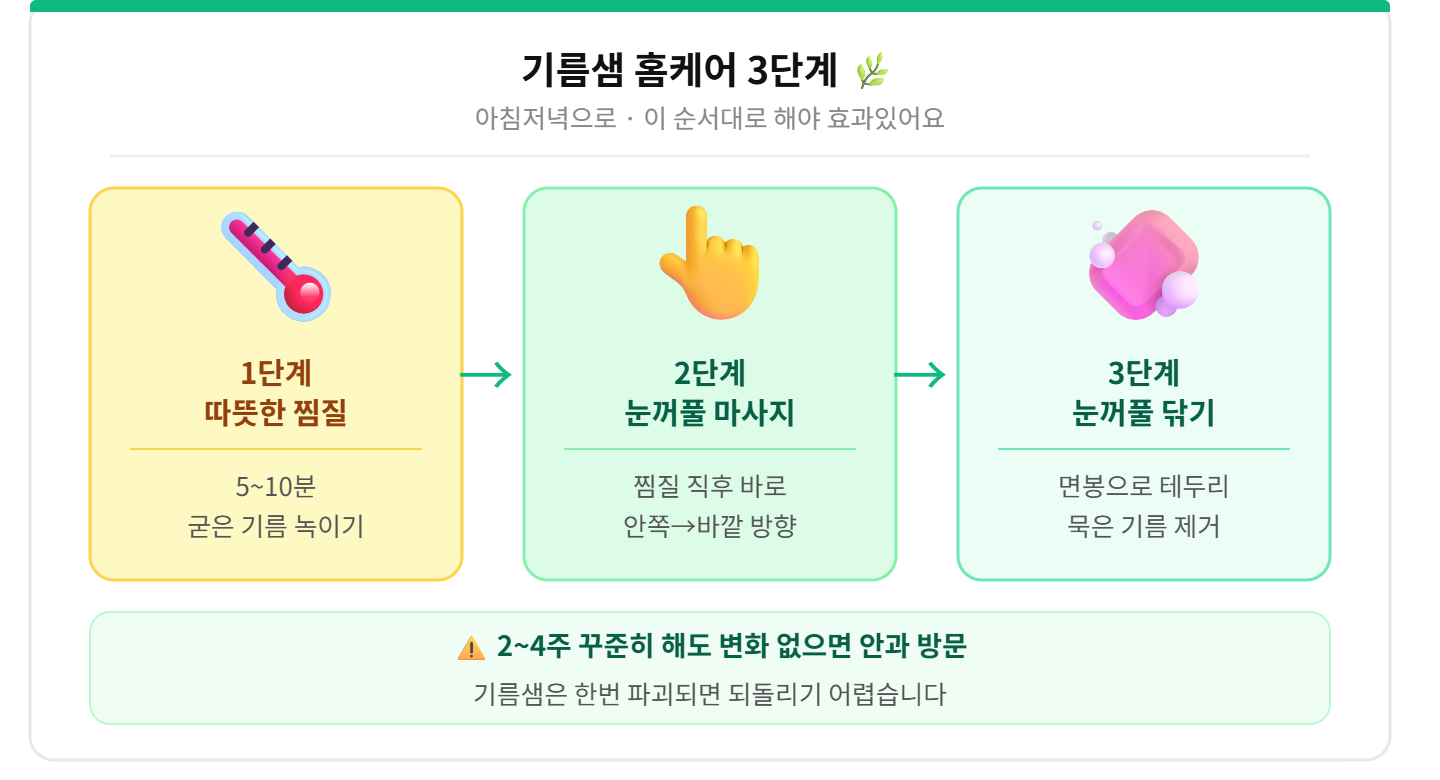 alt="기름샘 홈케어 3단계 따뜻한 찜질 눈꺼풀 마사지 눈꺼풀 닦기 흐름도 2~4주 안과방문 티스토리 카드"
