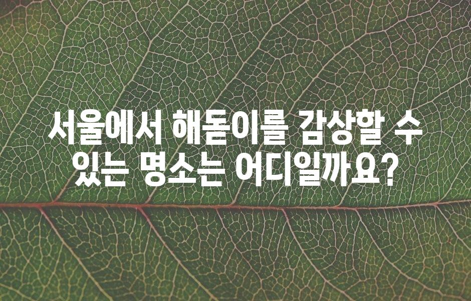 샘플 (43)
