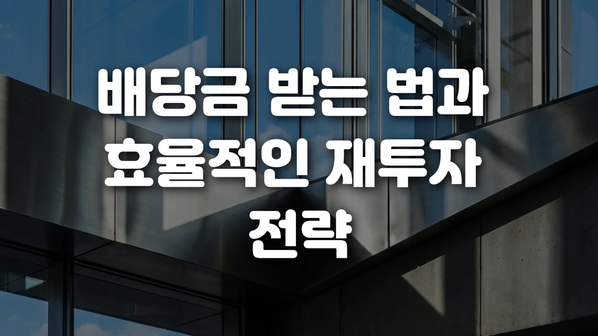 배당금 받는 법과 효율적인 재투자 전략