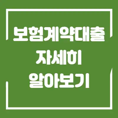 보험계약대출 섬네일