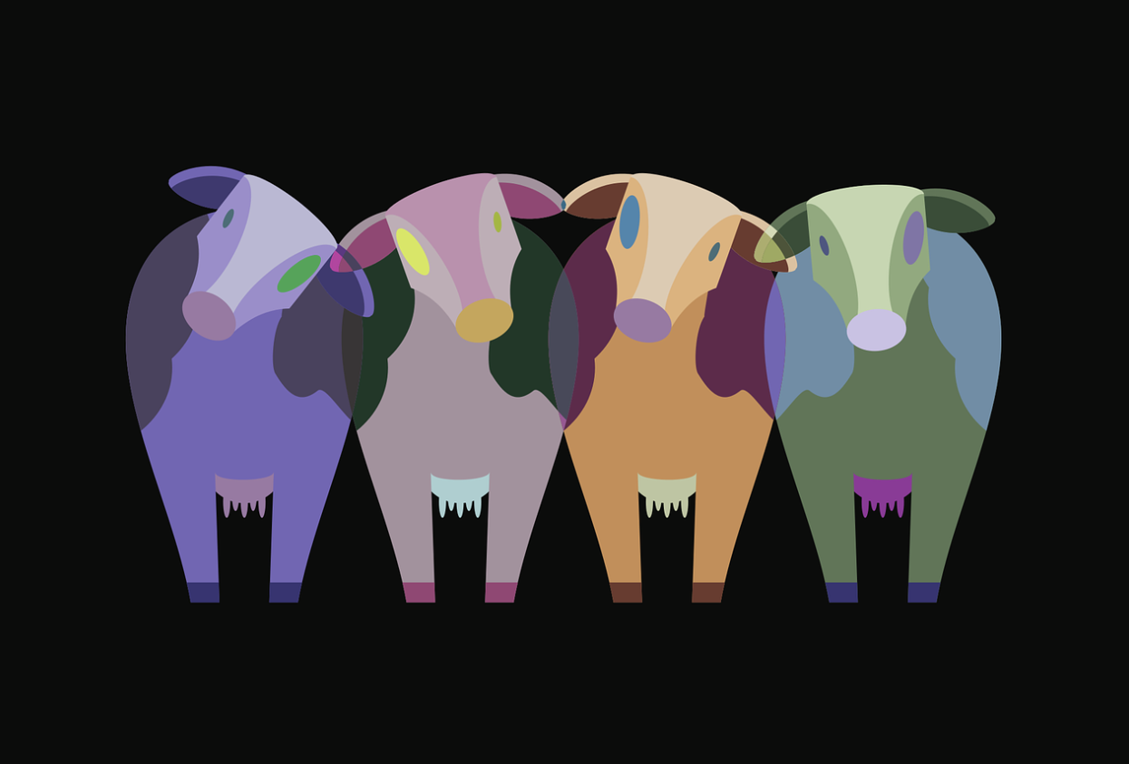 비건 윤리와 첨단 식품 기술