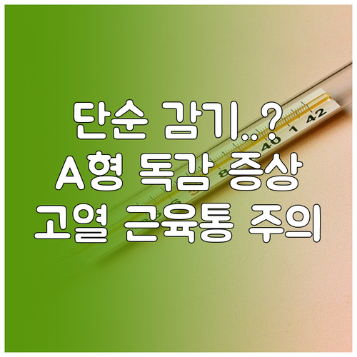 A형 독감 초기 증상 및 감기 차이점..