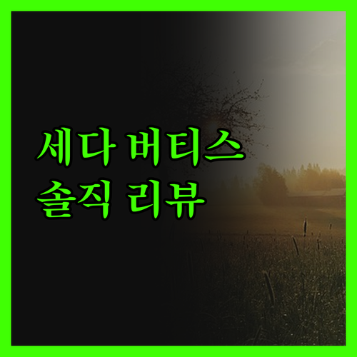 세다 버티스 노스 숙박 리뷰! 케손시