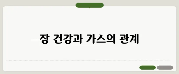 배에 가스가 자주 차는 이유 장 건강이 안 좋을 때