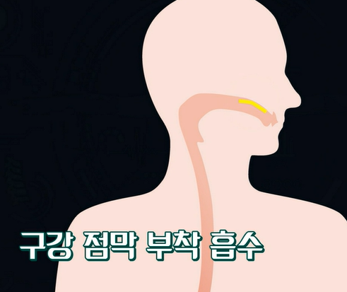 글루타치온 복용법