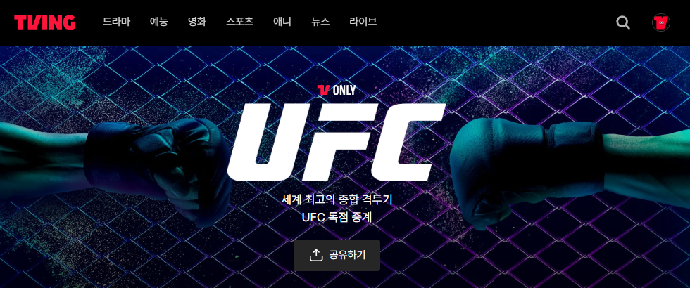 UFC 320