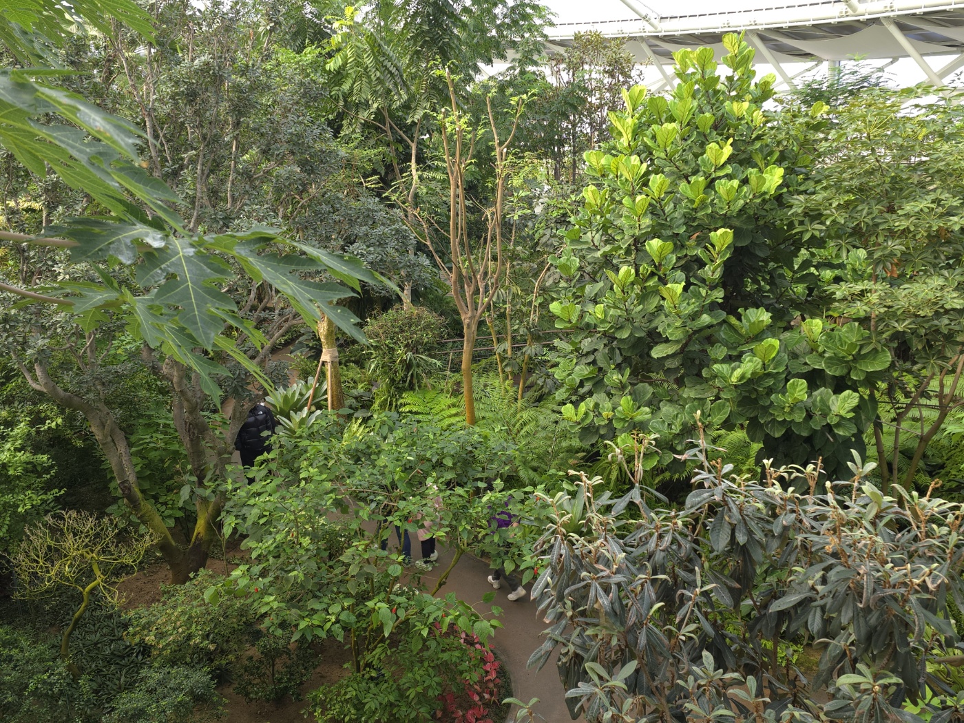 겨울 실내 아이와 가볼만한곳 부천호수공원 식물원 수피아