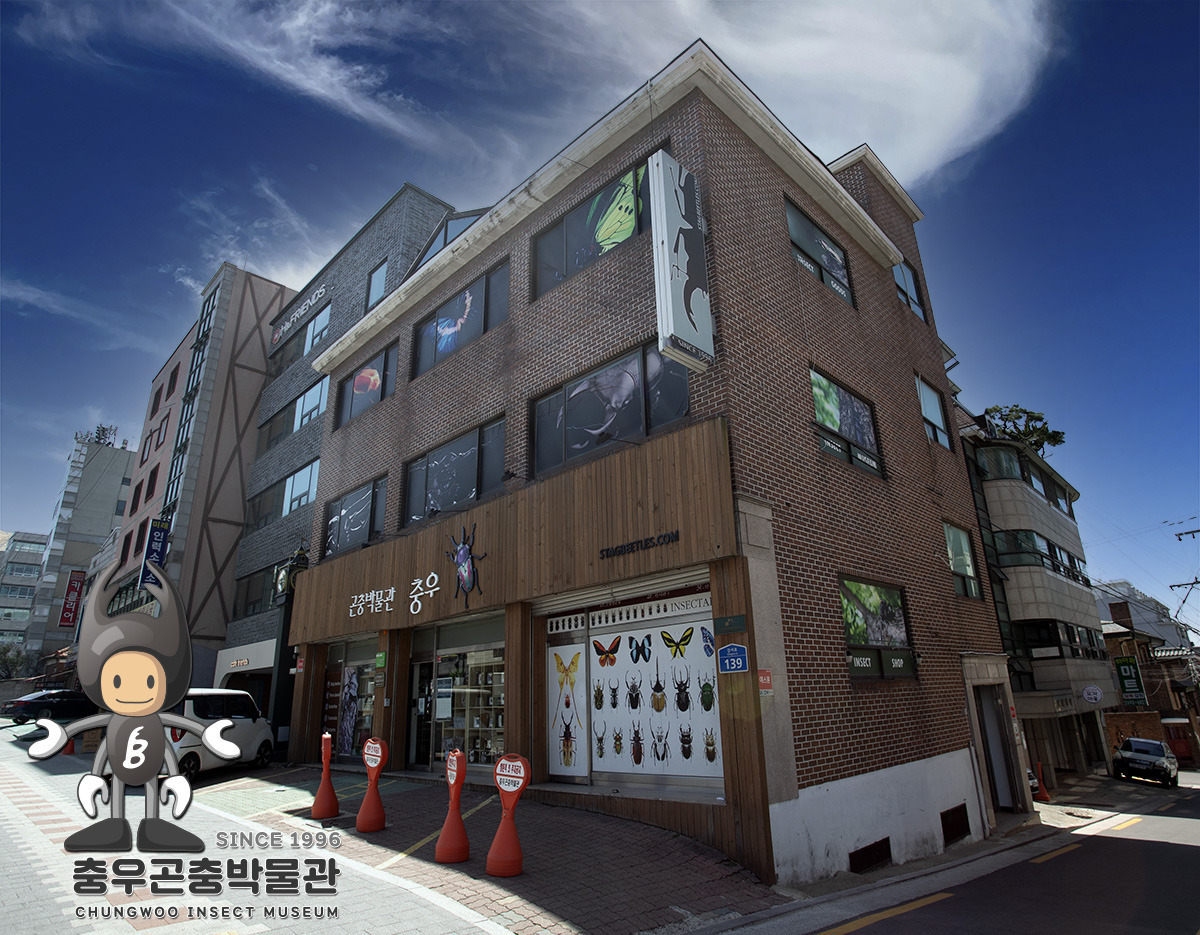 충우곤충박물관 건물 전경 사진