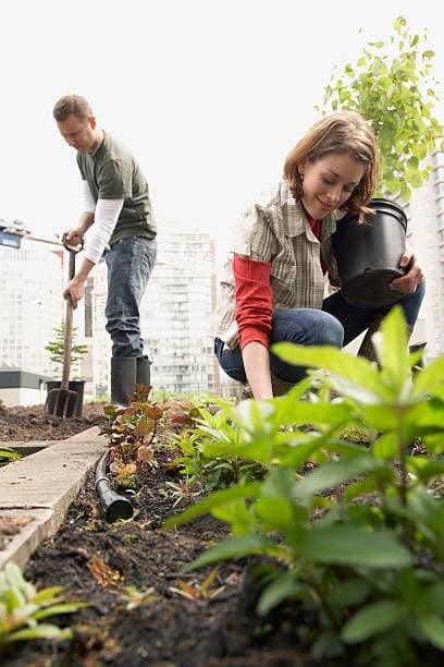 공공기관과 협력하여 도시 농업 프로젝트 운영하기