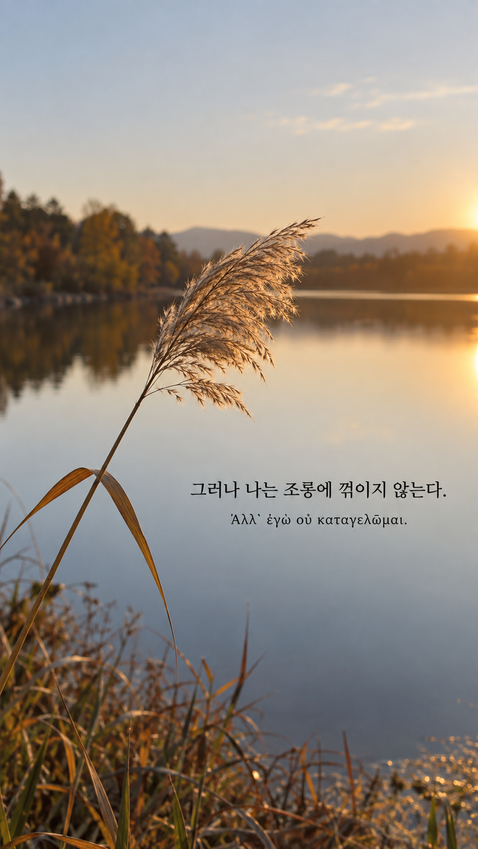 디오게네스 명언 9 그러나 나는 조롱에 꺾이지 않는다. 한글과 그리스어 원문이 담긴 세로 사진