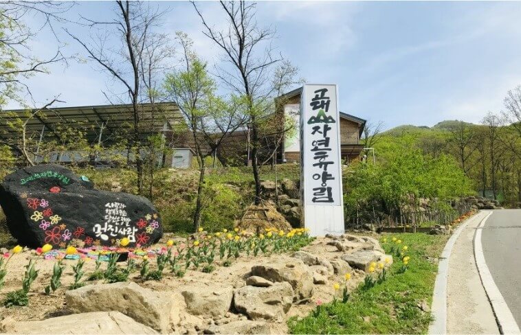 봄이 찿아온 고대산자연휴양림