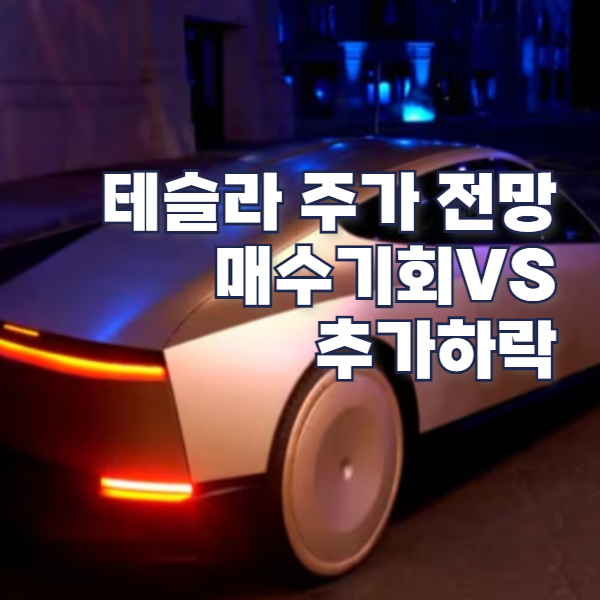 미국주식 테슬라 주가 하락 원인 유망주 기술주