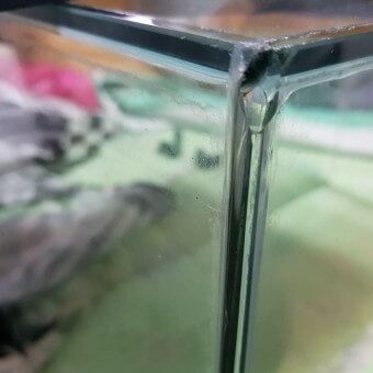 어항-귀퉁이-유리가-이가-빠져-방수에-문제가-있음