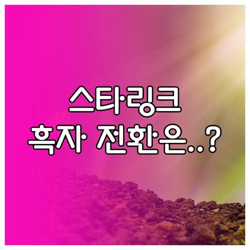 스타링크는 언제부터 흑자일까 수익성 ..