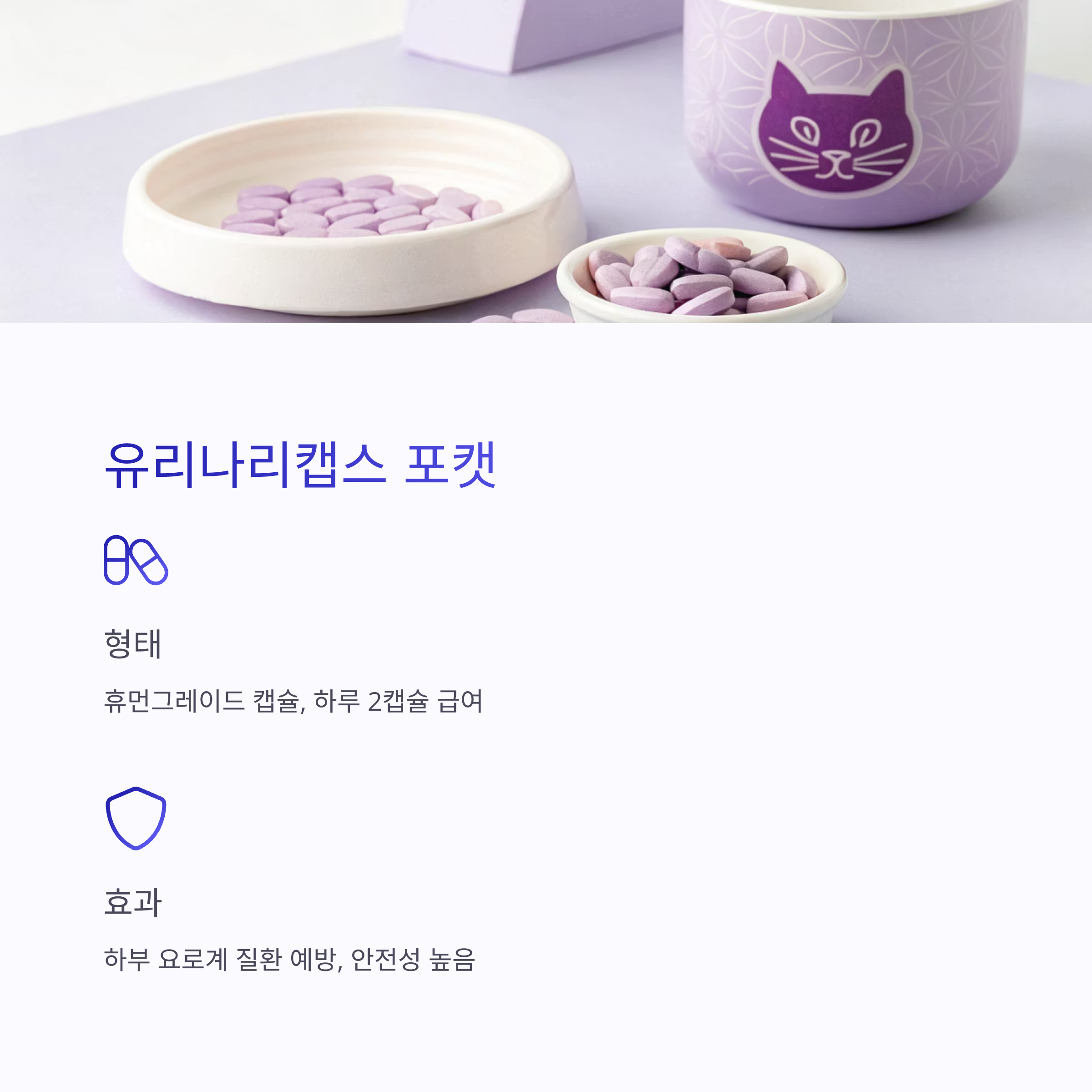 유리나리캡스 포캣