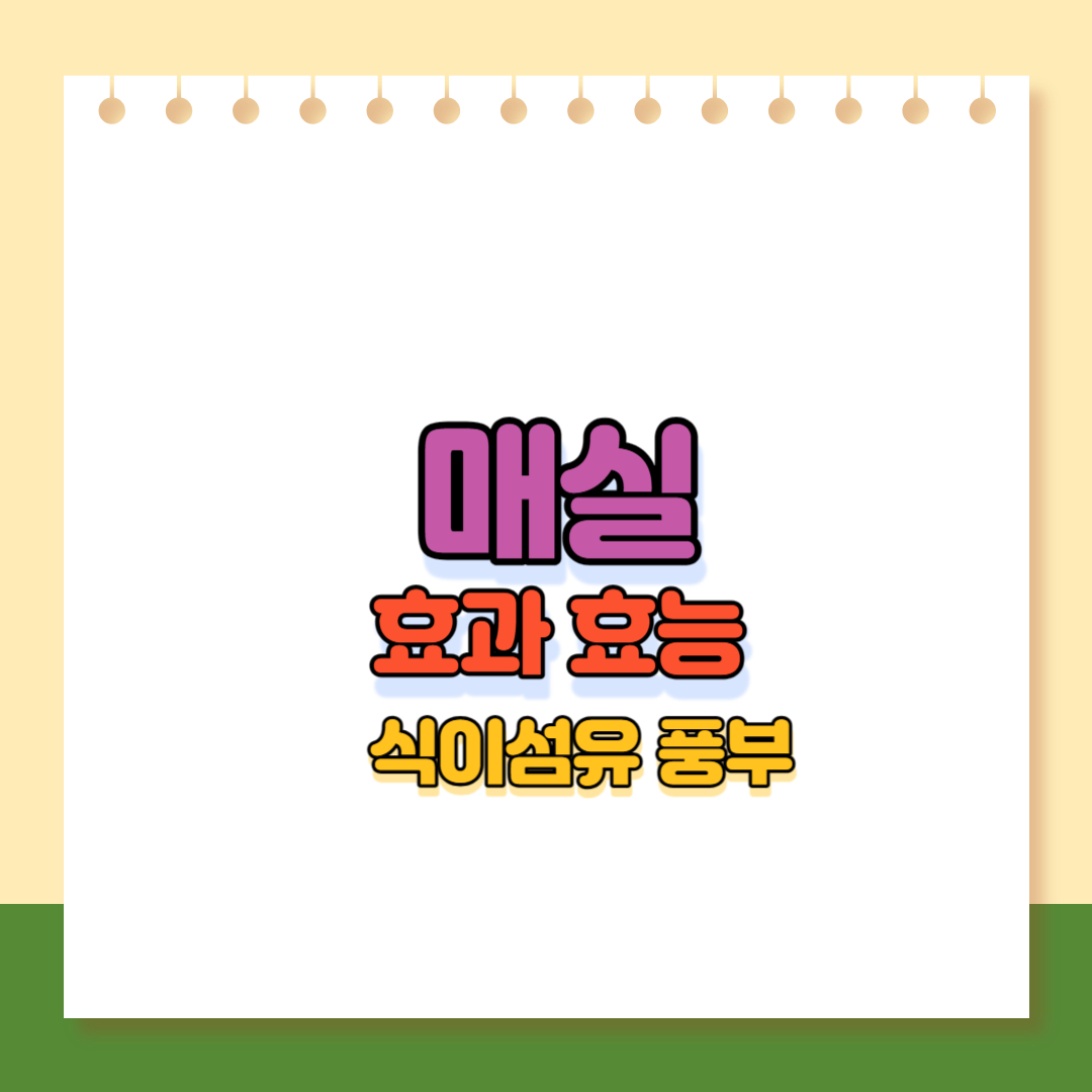 매실이미지