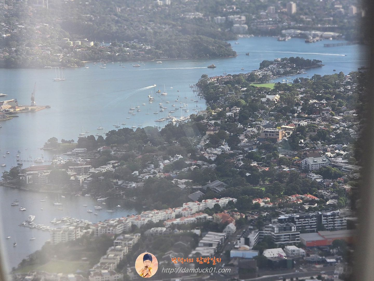 처음 보는 호주