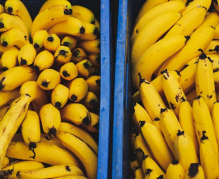 역류성 식도염에 좋은 음식