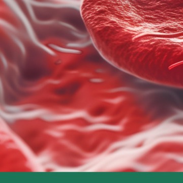 백혈구 수치가 낮은 이유