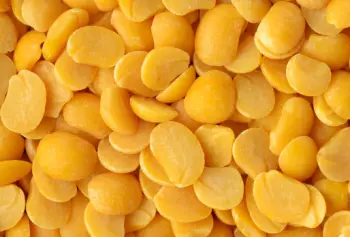 렌틸콩 효능 및 영양성분&amp;#44; 주의점