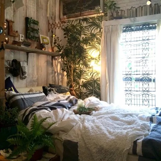 침실 식물 추천 공기정화기능 물주기 관리 향기 숙면 도움 되는 종류_8