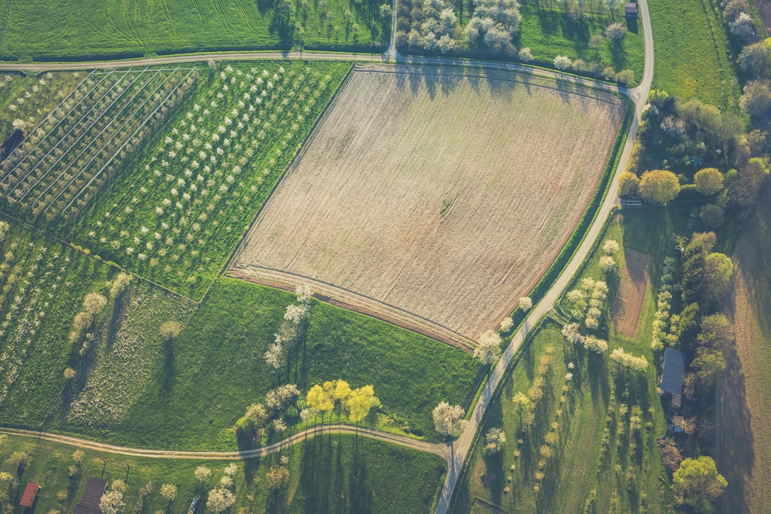 '농지' (farmland)