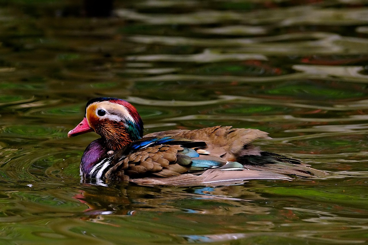 중도상환수수료 계산법