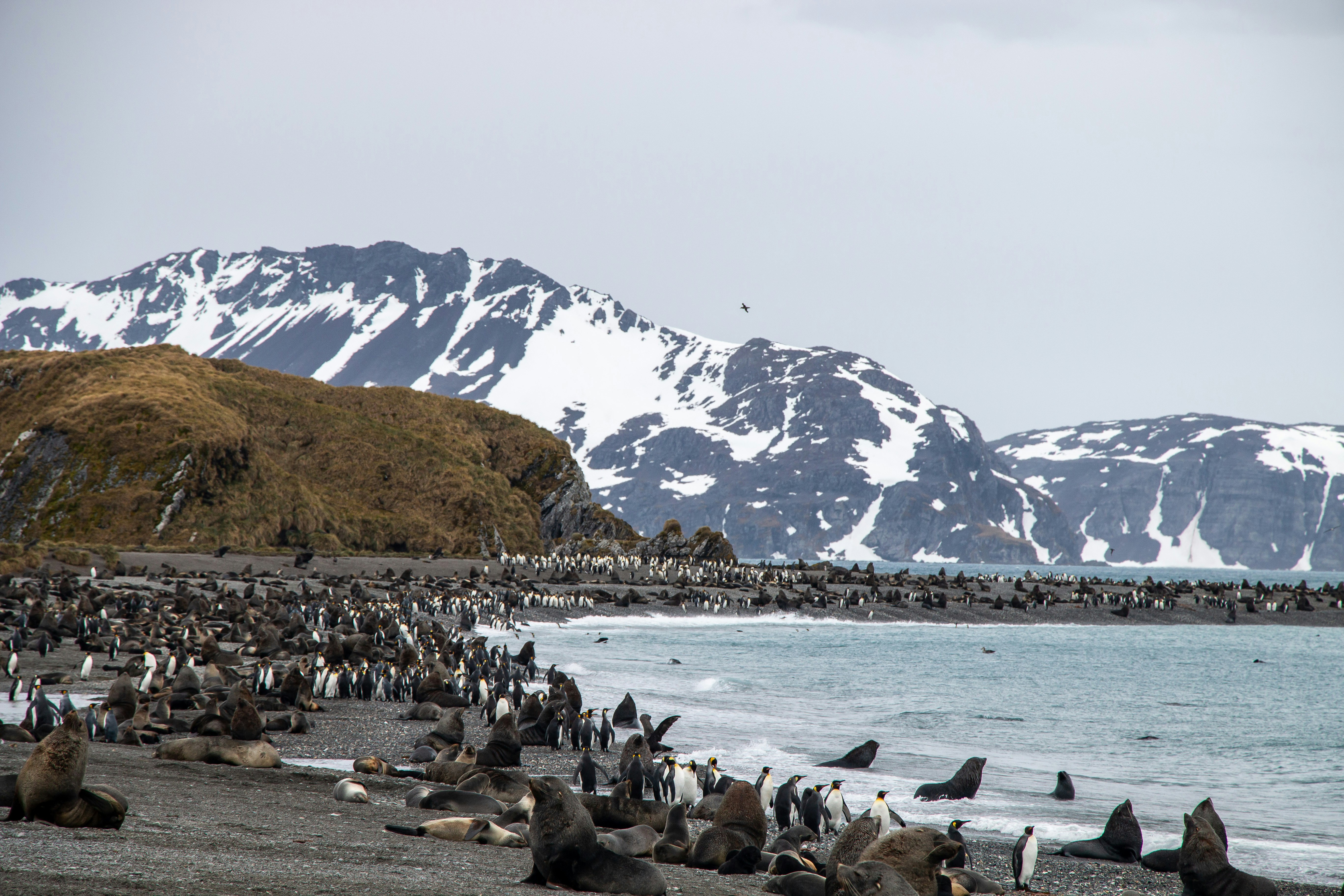 &copy; ArcticDesire.com Polarreisen, Unsplash