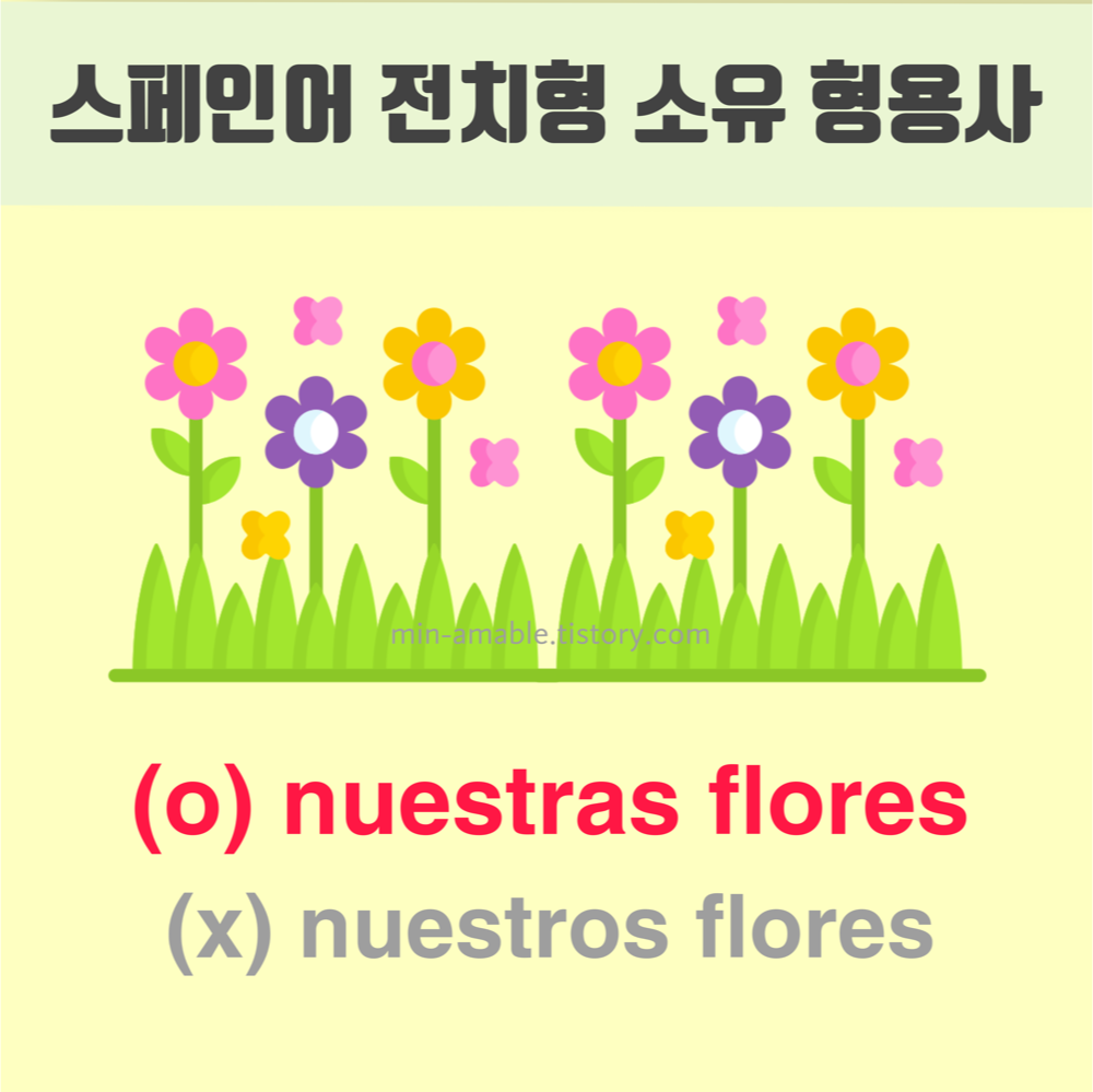 스페인어문법-소유형용사