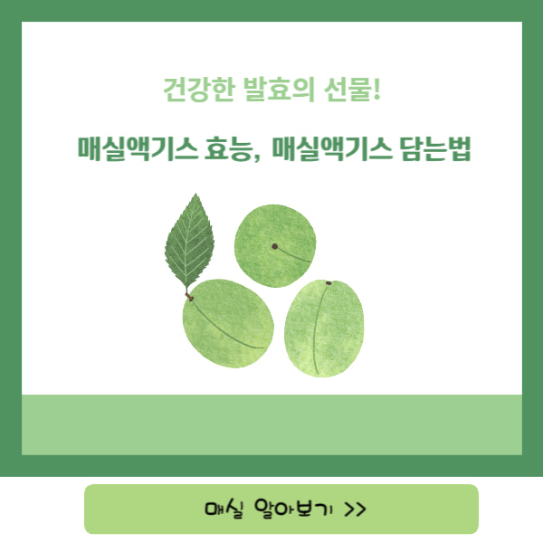 매실액기스
