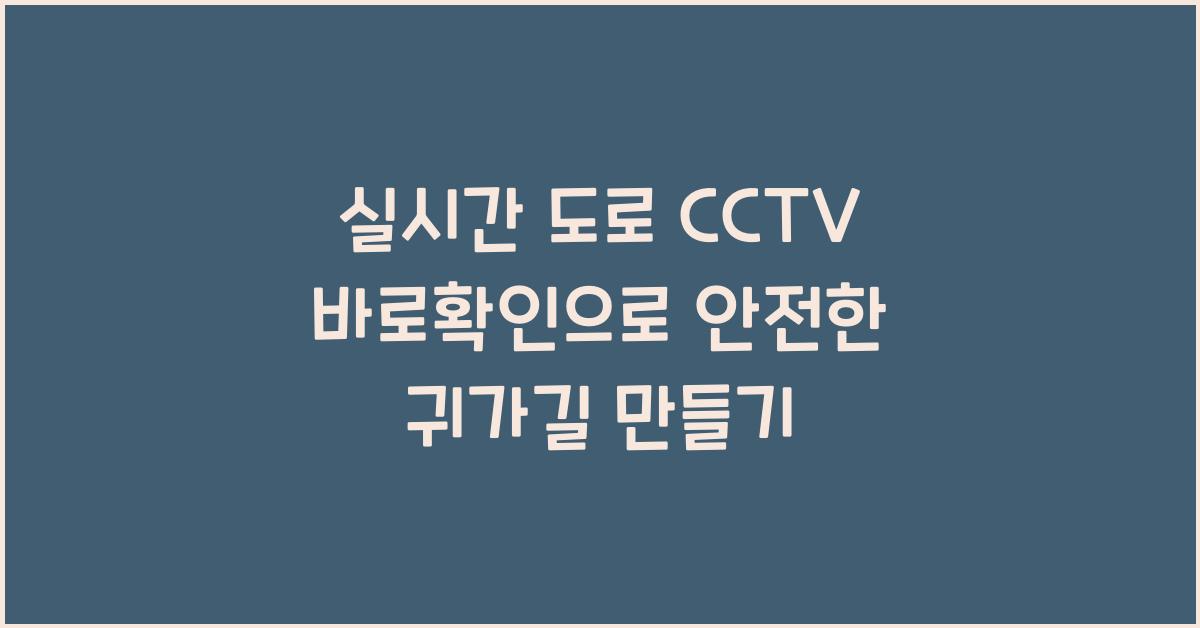 실시간 도로 cctv 바로확인