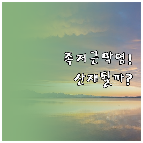 장시간 서서 일하는 직업 족저근막염 ..