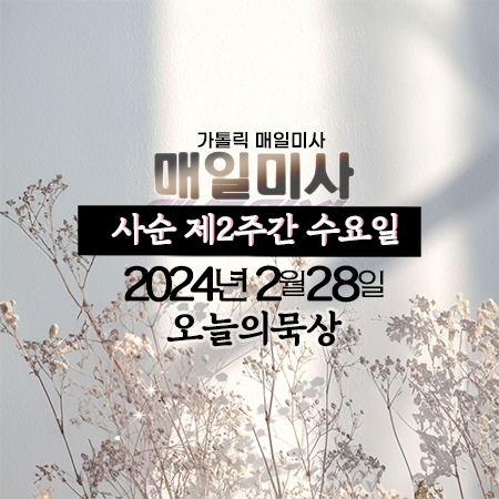 2024년 2월 28일 매일미사